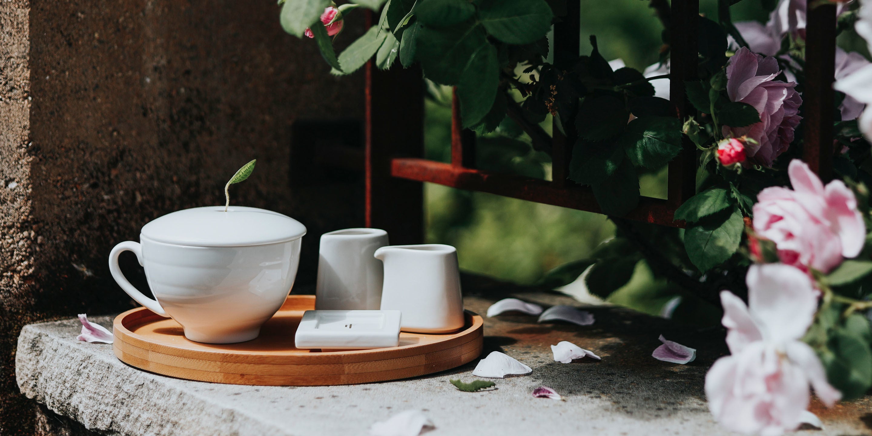 Café Cup presentation on a wall with roses