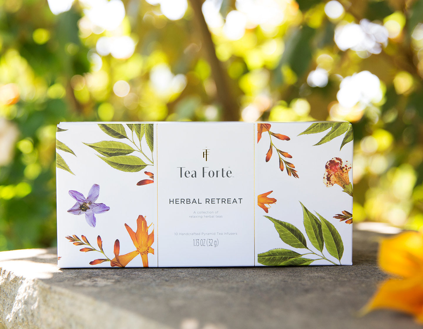 Herbal Retreat Petite Presentation Box on 10 teas on a sunny garden wall